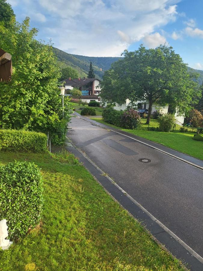 Ferienwohnung Freudenberg Freudenberg am Main Exterior foto